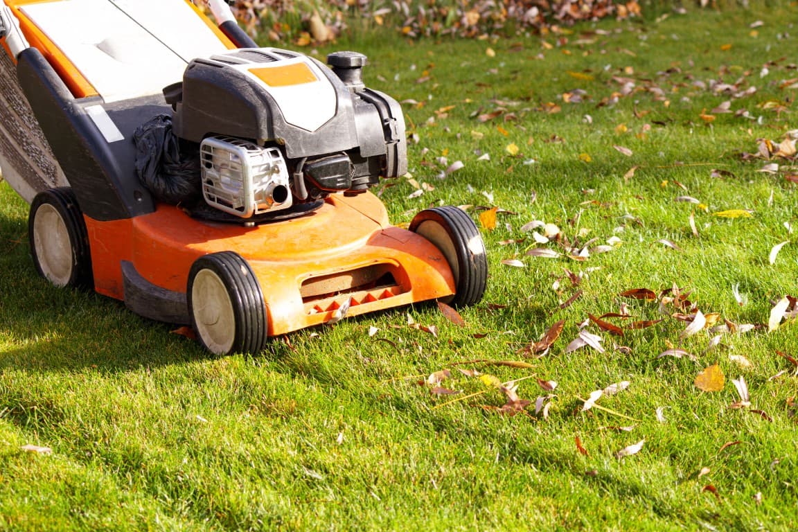 Lawn Cutting Services