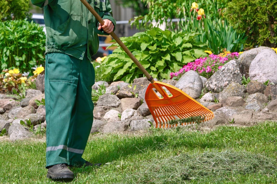 Yard Clean Up