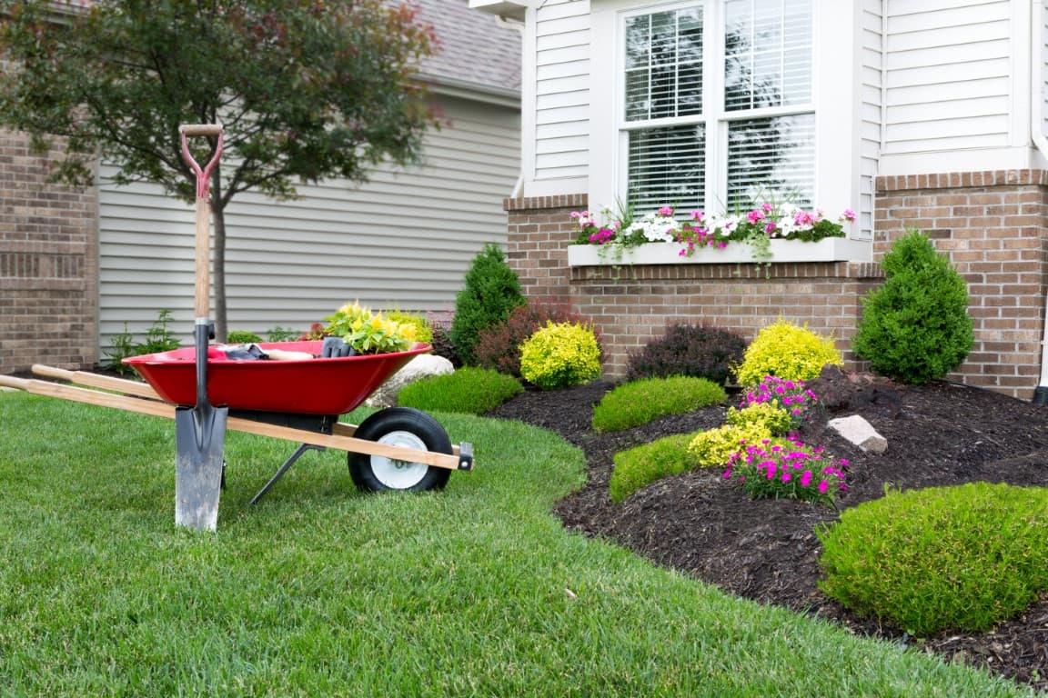 Landscape Construction/Maintenance