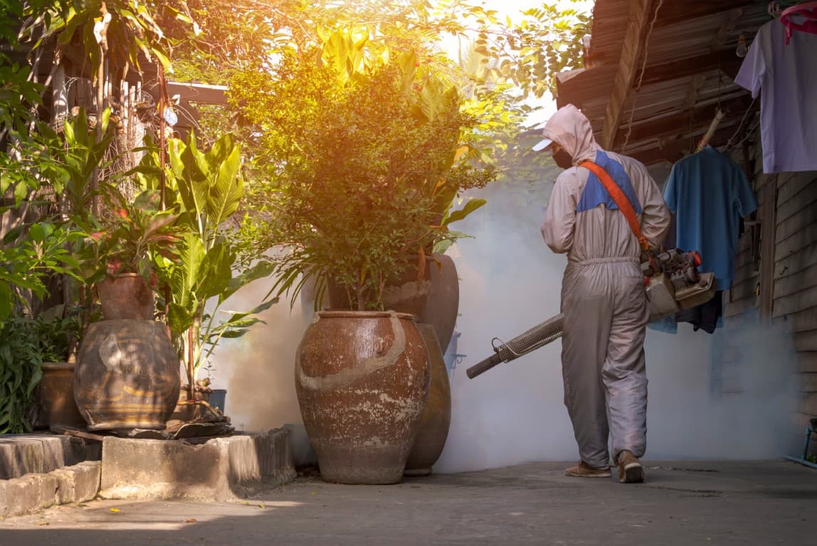 Mosquito Protection